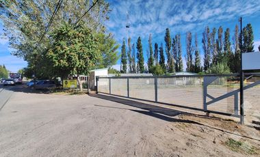 En Alquiler, Oficinas comerciales, calle Rio Colorado, Plottier