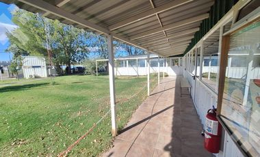 En Alquiler, Oficinas comerciales, calle Rio Colorado, Plottier