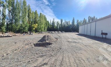 En Alquiler, Oficinas comerciales, calle Rio Colorado, Plottier