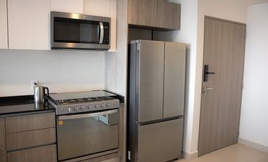 Departamento en Renta, San Pedro de los Pinos, 1 Recamara