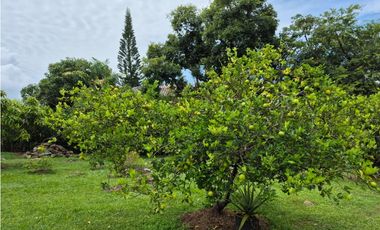 Venta casa campestre en Chinauta condominio exclusivo 1.510 m²