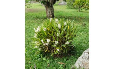 Finca en venta ubicado en Fusagasugá