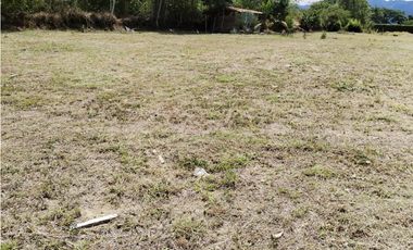 se vende lote, PEREIRA, PAVAS, via cerritos.