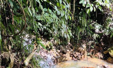 Alquiler Vacacional en Cisneros, Antioquia
