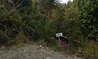 Grace kelm vende terreno  de 5000m2 con luz , en Dalcahue Chiloé