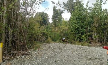 Grace kelm vende terreno  de 5000m2 con luz , en Dalcahue Chiloé