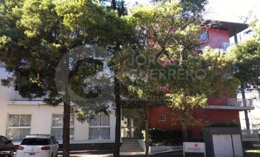 Departamento - Carilo