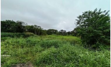 Venta de Terreno Comercial frente a Novey, Chitré, Vía Principal