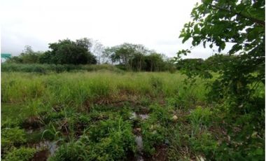 Venta de Terreno Comercial frente a Novey, Chitré, Vía Principal