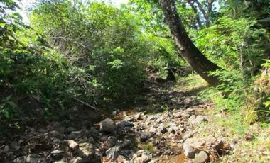 VENTA DE FINCA EN LA COLORADITA DE VERAGUAS - SG