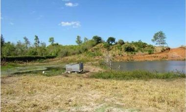 VENTA DE FINCA EN LA COLORADITA DE VERAGUAS - SG