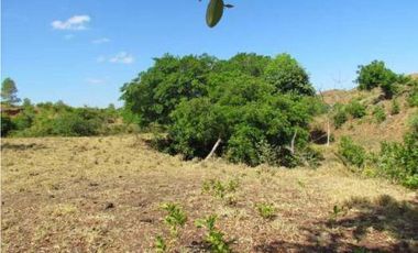 VENTA DE FINCA EN LA COLORADITA DE VERAGUAS - SG