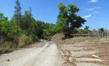 VENTA DE FINCA EN LA COLORADITA DE VERAGUAS - SG
