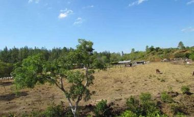 VENTA DE FINCA EN LA COLORADITA DE VERAGUAS - SG