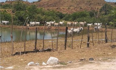 VENTA DE FINCA EN LA COLORADITA DE VERAGUAS - SG
