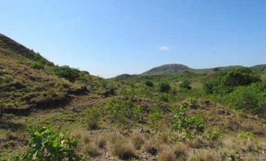 VENTA DE FINCA EN LA COLORADITA DE VERAGUAS - SG