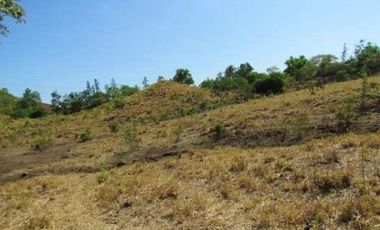 VENTA DE FINCA EN LA COLORADITA DE VERAGUAS - SG