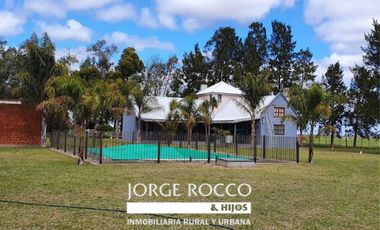 Campo en venta en Bavio. 185 has mixto