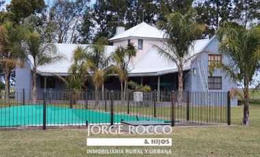 Campo en venta en Bavio. 185 has mixto