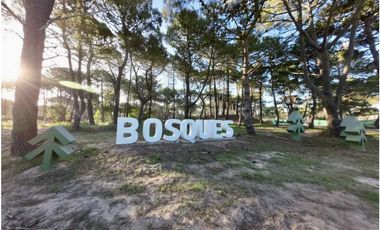 PINAMAR - BOSQUES PINAMAR  - ETAPA I