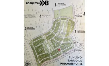PINAMAR - BOSQUES PINAMAR  - ETAPA I