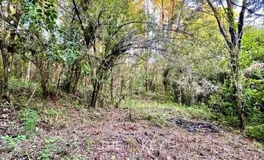 Parcela en Venta en Sector Quilentué - Villarrica