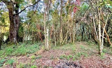 Parcela en Venta en Sector Quilentué - Villarrica