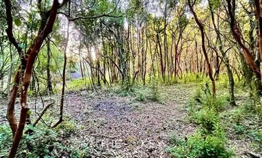 Parcela en Venta en Sector Quilentué - Villarrica