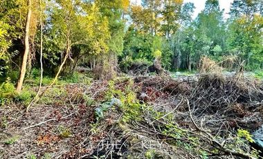 Parcela en Venta en Sector Quilentué - Villarrica