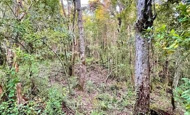 Parcela en Venta en Sector Quilentué - Villarrica