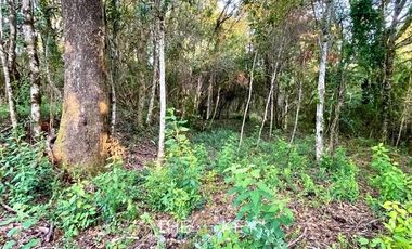 Parcela en Venta en Sector Quilentué - Villarrica