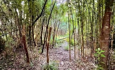 Parcela en Venta en Sector Quilentué - Villarrica