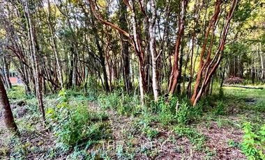 Parcela en Venta en Sector Quilentué - Villarrica