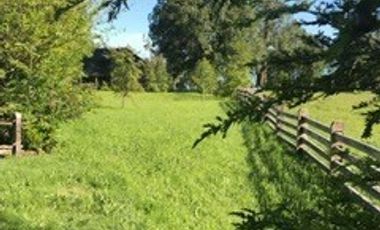 Casa en Venta en Puntilla Ñilque