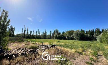Chacra en Villa Manzano