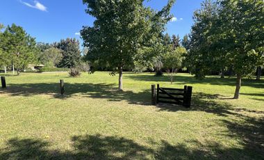 Casa Quinta de 4 amb. a la venta en Santa Anita