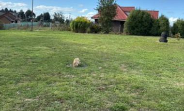 VENTA DE CASA EN PARCELA OSORNO