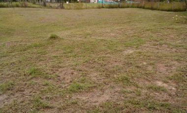 VENTA de LOTES en SILVANIA