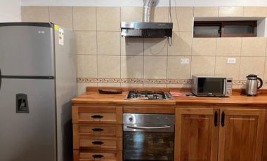 PERSONA SOLA VIVIR EN GRAN SUITE AMOBLADA EN PARCELA DE PAINE