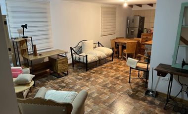 PERSONA SOLA VIVIR EN GRAN SUITE AMOBLADA EN PARCELA DE PAINE