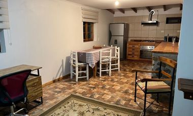 PERSONA SOLA VIVIR EN GRAN SUITE AMOBLADA EN PARCELA DE PAINE