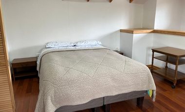 PERSONA SOLA VIVIR EN GRAN SUITE AMOBLADA EN PARCELA DE PAINE