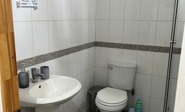 PERSONA SOLA VIVIR EN GRAN SUITE AMOBLADA EN PARCELA DE PAINE