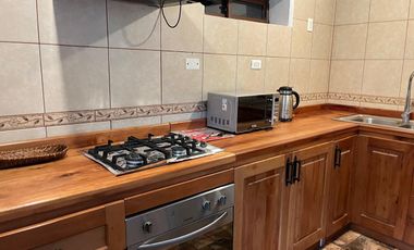 PERSONA SOLA VIVIR EN GRAN SUITE AMOBLADA EN PARCELA DE PAINE