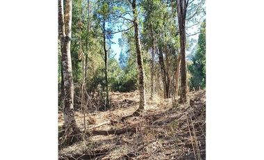 Parcela 10 en Vista Hermosa | sur de Valdivia!