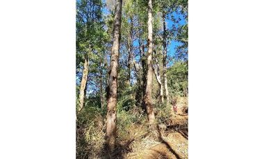 Parcela 10 en Vista Hermosa | sur de Valdivia!