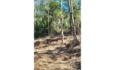 Parcela 10 en Vista Hermosa | sur de Valdivia!