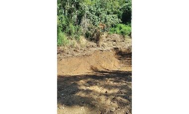 Parcela 10 en Vista Hermosa | sur de Valdivia!