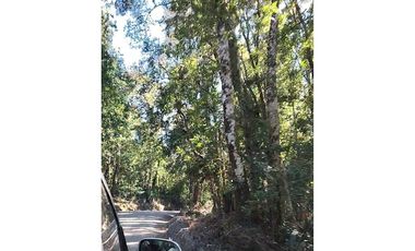 Parcela 10 en Vista Hermosa | sur de Valdivia!