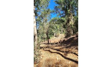 Parcela 10 en Vista Hermosa | sur de Valdivia!